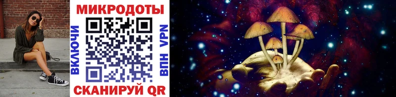 MEGA маркетплейс  Подольск  Галлюциногенные грибы Cubensis 